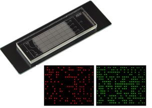 多靶標腫瘤標志物高靈敏檢測的微納生物傳感器件研制成功